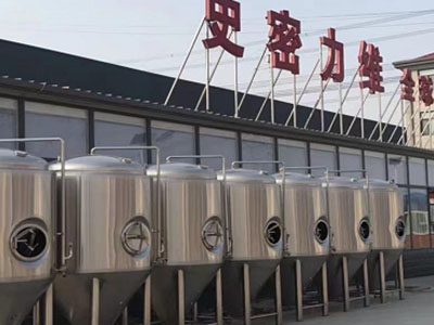 麻阳精酿啤酒设备厂—如何判断精酿啤酒设备的密封件需要更换？